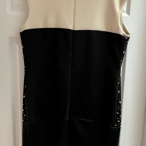 Cream & Black laser cut sheath dress NWOT - Picture 5 of 5